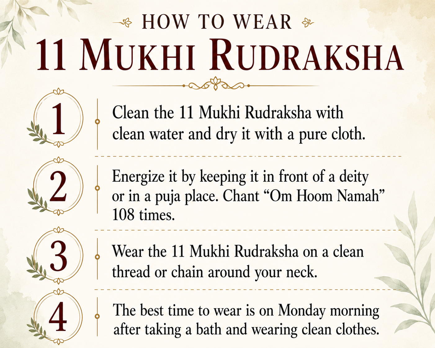 11 Mukhi Rudraksha ( Nepal Origin )